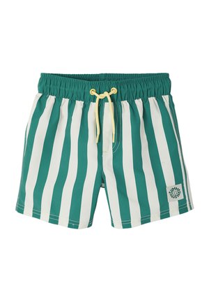 Green and white vertical striped swim shorts with an elastic waistband and yellow drawstring, featuring a small logo patch on the leg.