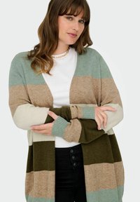 Svītrots kardigāns ar zaļām, bežām un krēmkrāsas toni. Mīksts adīts audums ar ribotas piegriezuma piedurknēm. Nēsāts virs baltas blūzes un melnām biksēm.