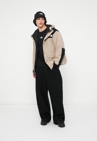 The North Face MOUNTAIN JACKET - Dūnu jaka - mushroom grey