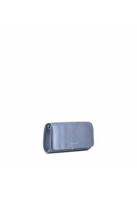 Portafoglio in pelle azzurro chiaro con texture liscia, forma rettangolare, pattina pieghevole e hardware metallico. Presenta il nome del marchio sul fronte.