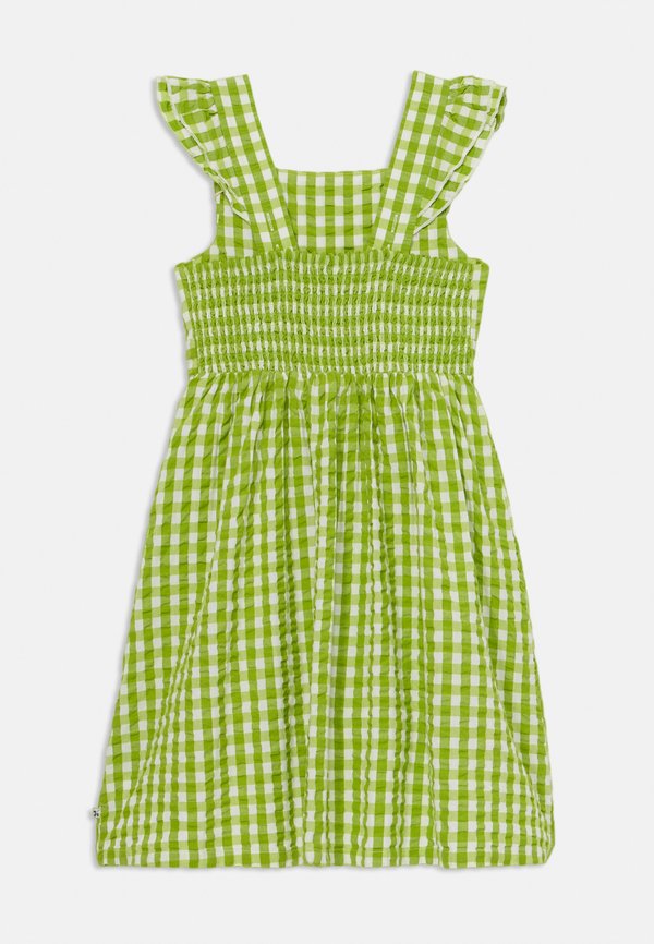 ZARIA DRESS - Day dress - macaw gingham2