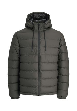 Tumši zaļš pūkains mētelis ar rāvējslēdzēju priekšā, pievienotu kapuci un elastīgām piedurknēm. Iezīmēts ar horizontālu šūtu dizainu siltumizolācijai. Viegls materiāls.