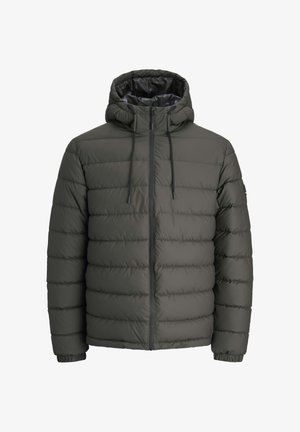 Tumši zaļš pūkains mētelis ar rāvējslēdzēju priekšā, pievienotu kapuci un elastīgām piedurknēm. Iezīmēts ar horizontālu šūtu dizainu siltumizolācijai. Viegls materiāls.