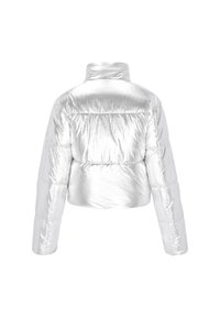 Vinterjakker - silver-coloured