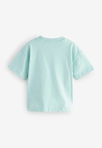 Mintgrön t-shirt med kort ärm, rund halsringning och avslappnad passform. Mjuk bomullsmaterial med en slät textur och utan synliga mönster.