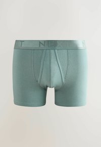 Mentolové boxerky s priliehavým strihom, vyrobené z mäkkej látky. Obsahujú elastický pás so štítkom "NEXT" v rovnakom odtieni.