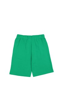 Grüne Baumwollshorts mit elastischem Bund, lockerer Passform und ohne sichtbare Muster oder Akzente. Geeignet für die Freizeit.