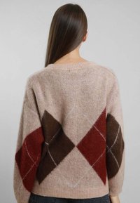 Persona con lunghi capelli castani di spalle, che indossa un maglione beige con un grande motivo a diamante rosso e marrone scuro sulla schiena e sulle maniche.