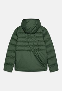 Vaude KIDS MANUKAU PADDED - Téli dzseki - woodland