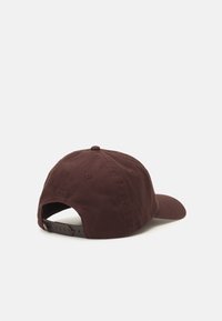 Dickies HARDWICK UNISEX - Sapka - dark brown