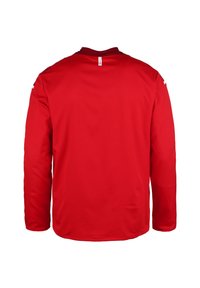 Rotes Langarmshirt aus glattem Stoff. Hat einen runden Ausschnitt und einen geraden Schnitt. Keine sichtbaren Logos oder Muster auf der Rückseite.