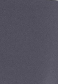 Chantelle THONG - Tanga - gris