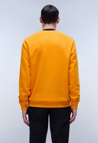 Felpa arancione con maniche lunghe, polsini e orlo a costine. Texture liscia, scollatura a girocollo. Indossata sopra pantaloni neri, vista dalla parte posteriore.
