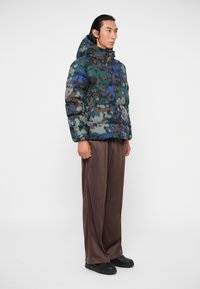 EA7 Emporio Armani MOUNTAIN ECO HOODED JACKET GRAPHIC - Ziemas jaka - multi-coloured