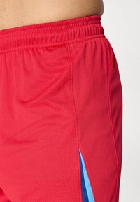 Punased sportlikud šortsid tekstuuriga kangast, millel on sinine külgpaneel ja elastne vöökoht mugavuse ja paindlikkuse tagamiseks.