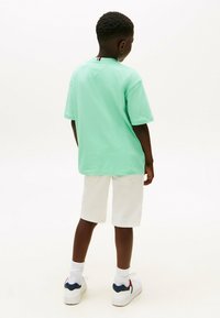 Tommy Hilfiger SIGNATURE EMBROIDERY - Camiseta estampada - menthol