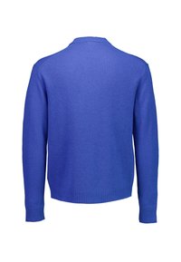 Blauer gestrickter Pullover mit Rundhalsausschnitt, langen Ärmeln und gerippten Bündchen und Saum. Die Rückansicht zeigt eine glatte, einheitliche Textur.