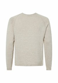 Beige Strickpullover mit langen Ärmeln, Rundhalsausschnitt und weicher Textur. Verfügt über ein dezentes Melange-Muster und gerippte Bündchen. Nur Rückansicht.