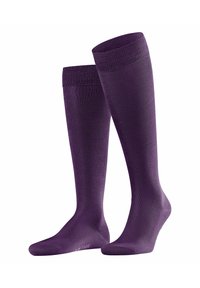 FALKE - TIAGO - Chaussettes hautes - wine berry Image miniature 1