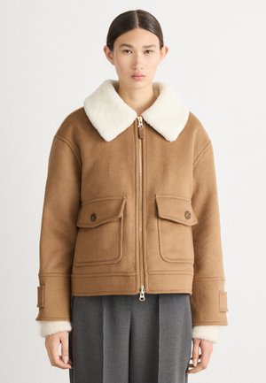 FLIGHT JACKET - Winterjas - roasted walnut