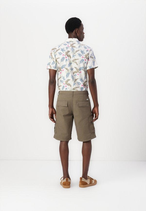 JPSTCOLE MATEO - Shorts - morel4