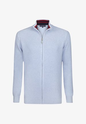 Lichtblauwe sweater met ritssluiting en een gebreid, gestructureerd patroon. Heeft een opstaande kraag met rode en zwarte streepdetails en lange mouwen.