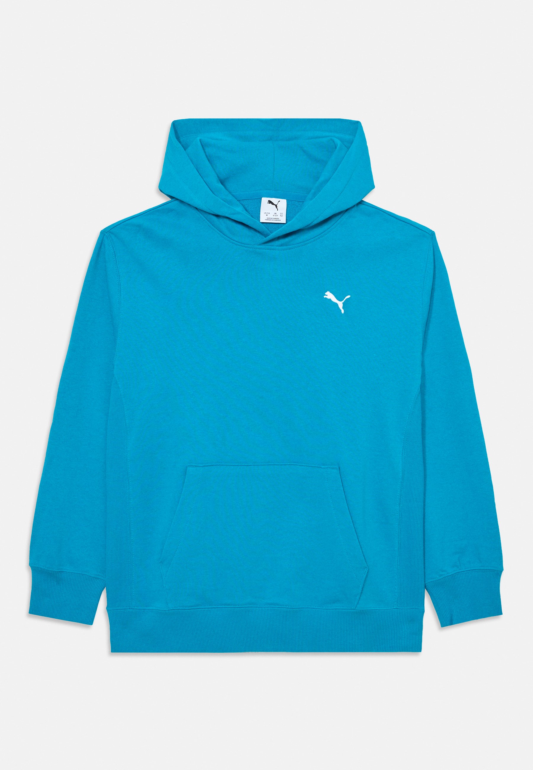 Puma WARDROBE RELAXED HOODIE Felpa con cappuccio tropical blue