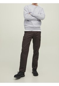 Felpa grigia con colletto tondo, abbinata a pantaloni cargo marrone scuro con tasche laterali. Calzature nere completano l'outfit.