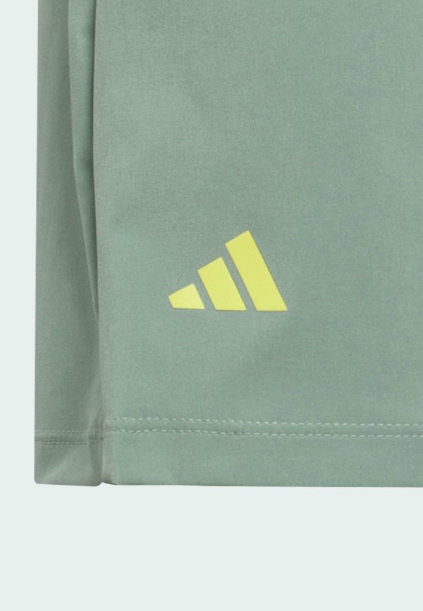 AEROREADY GRAPHICS KIDS - Shorts3