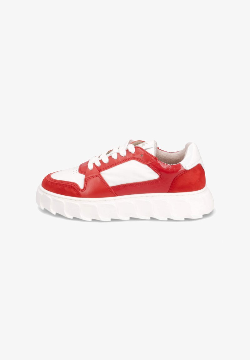 Apple of Eden SNEAKER - Baskets basses - red