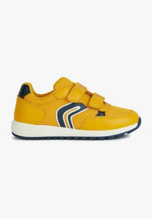Geox, ALBEN - Baskets basses - ochre yellow navy