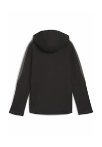 Thumbnail Image 5