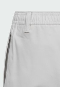 Lichtgrijze shorts met een elastische tailleband, zijzakken en een gladde textuur. Voorzien van een riemlus en nette afwerkingsdetails.