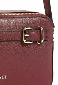 Borsa a tracolla in pelle bordeaux con effetto nucleo e dettagli in oro, caratterizzata da una finitura texturizzata e accenti neri.