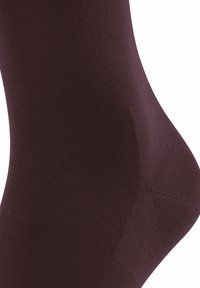 FALKE CLIMA  - Calze - barolo