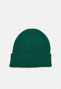 The North Face LOGO CUFFED  - Berretto - evergreen