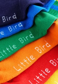 Calcetines de algodón coloridos en capas: azul marino, azul, verde, naranja y rojo, cada uno con "Little Bird" impreso en texto blanco a lo largo del pliegue.