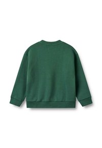 Groene katoenen sweatshirt met een ronde hals, lange mouwen, ribgebreide boorden en onderrand. Gladde textuur en een eenvoudig, minimalistisch ontwerp.