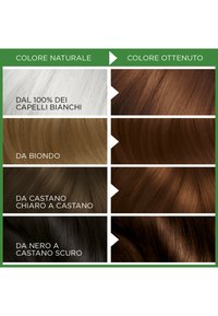 Garnier TINTA CAPELLI BELLE COLOR NATURALS COLORAZIONE PERMANENTE SENZA AMMONIACA AL 90% DI ORIGINE NATURALE - 2 PACK - Tinte capelli - castano luminoso (4.13)