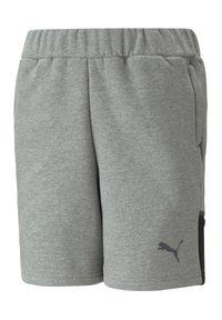 Puma TEAMCUP CASUALS - Pantaloni sportivi - grau