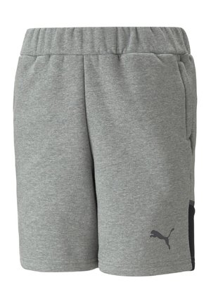 TEAMCUP CASUALS - Pantaloni sportivi - grau