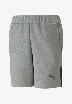 Puma TEAMCUP CASUALS - Pantalones deportivos - grau