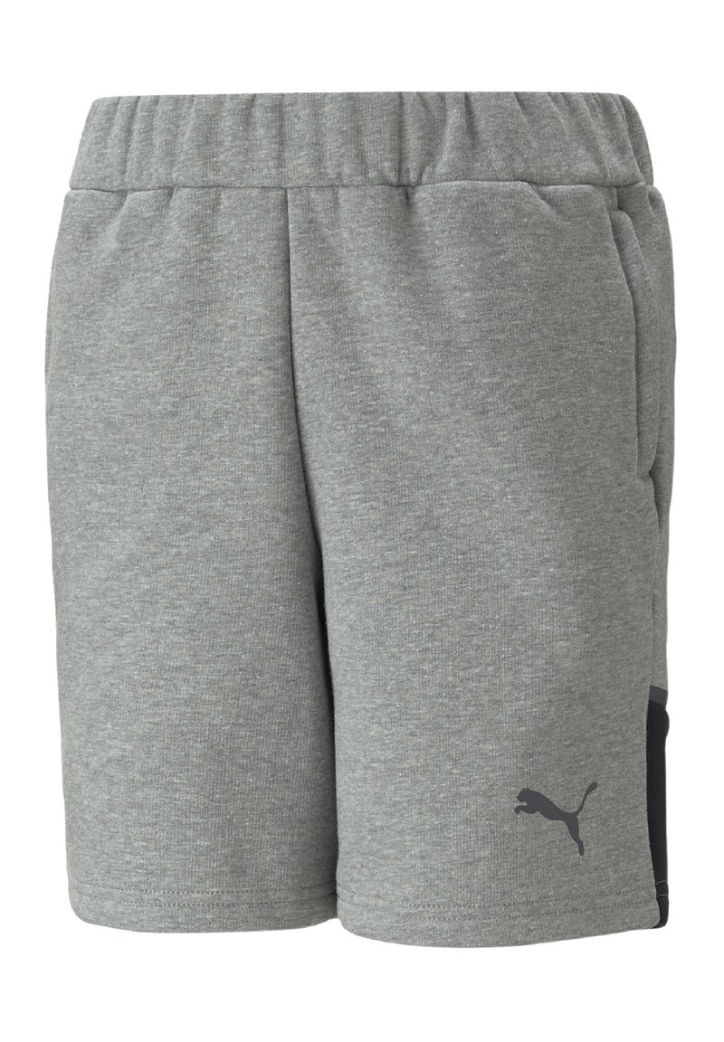 Puma TEAMCUP CASUALS - Pantaloni sportivi - grau