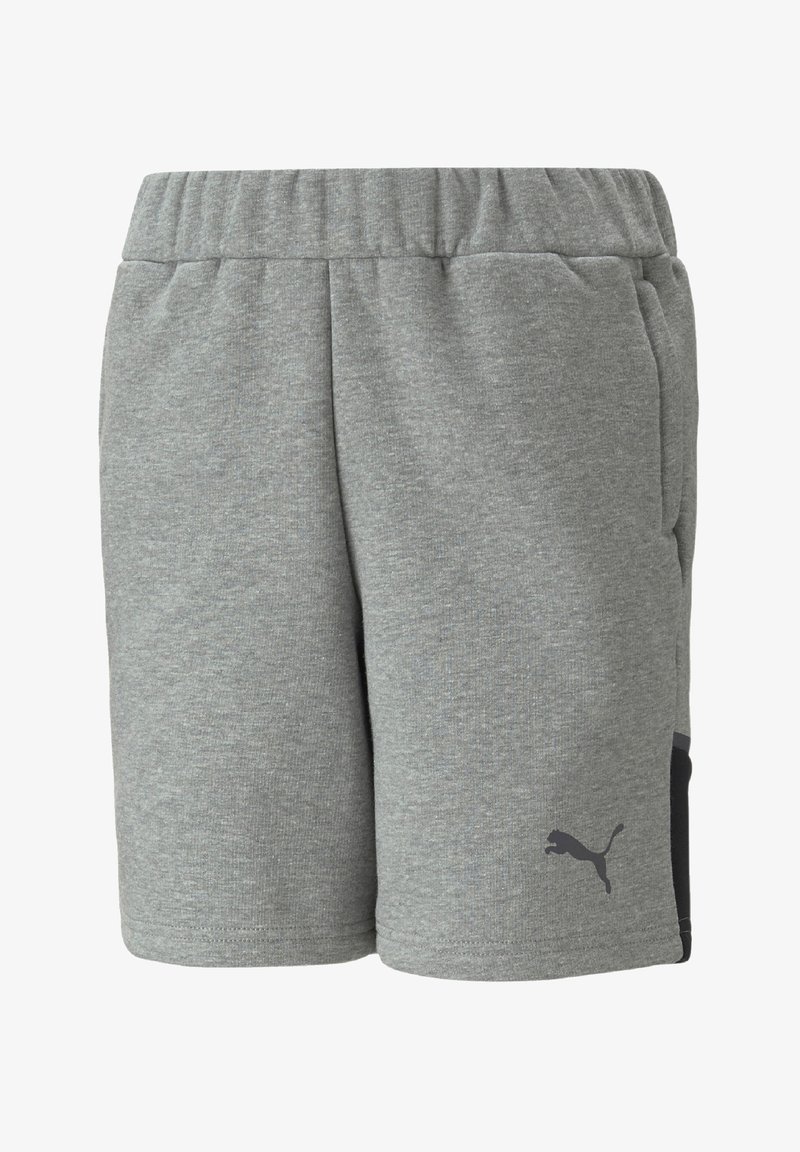 Puma TEAMCUP CASUALS - Pantaloni sportivi - grau