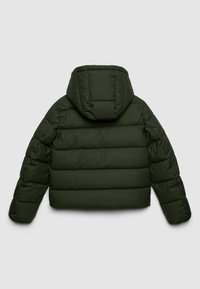 Dunkelgrüne Steppjacke mit horizontaler Steppung und abnehmbarer Kapuze, von hinten auf einem hellgrauen Hintergrund betrachtet.