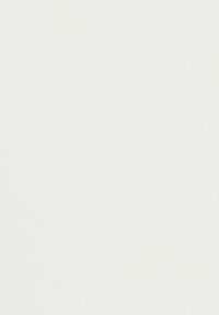 Carta bianca testurizzata con una finitura liscia, colore uniforme e senza modelli o dettagli visibili. Offre un aspetto pulito e neutro.