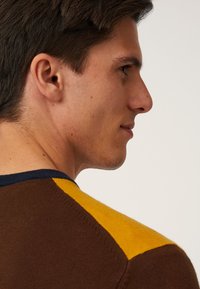 Maglione marrone con scollatura a girocollo blu navy e dettagli gialli sulle spalle. Tessuto lavorato a maglia con una forma aderente. Profilo del modello visibile.