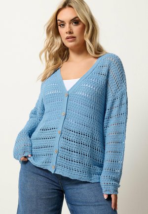 Donna che indossa un cardigan azzurro chiaro con bottoni e lavorazione a maglia aperta sopra una maglietta bianca e jeans blu, in piedi davanti a uno sfondo semplice.