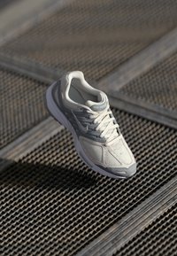 Nike Sportswear AIR PEGASUS 2005 - Baskets basses - wolf grey/platinum tint/vast grey/metallic platinum/white
