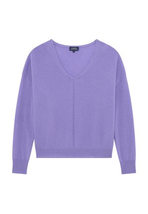 Maglione a V in lavanda lavorato a maglia con maniche lunghe, polsini e orlo a costine. Presenta una superficie semplice e texturizzata e una vestibilità morbida.